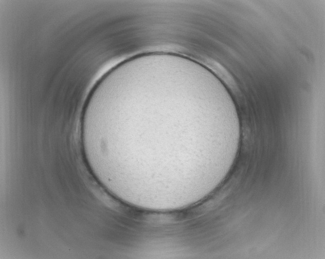 X0000115421044200911241344