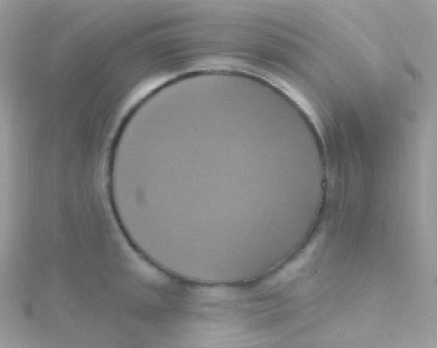 X0000115421045200911241344