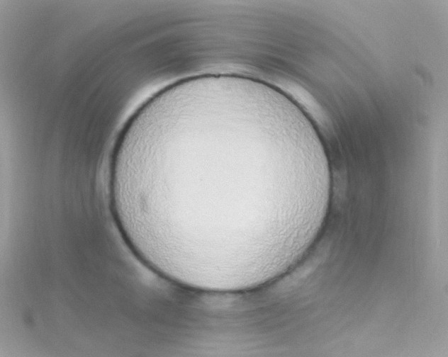 X0000115421046200911241344