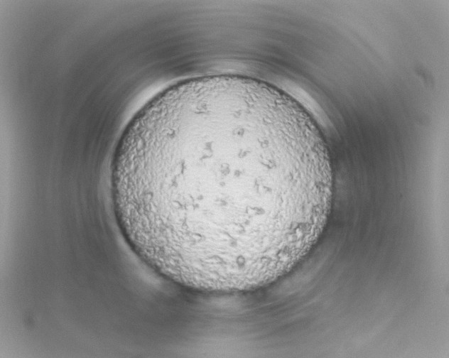 X0000115421047200911241344