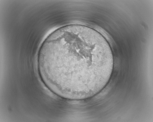 X0000115421048200911241344