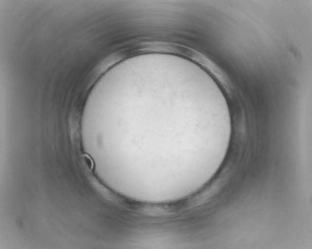 X0000115421049200911241344