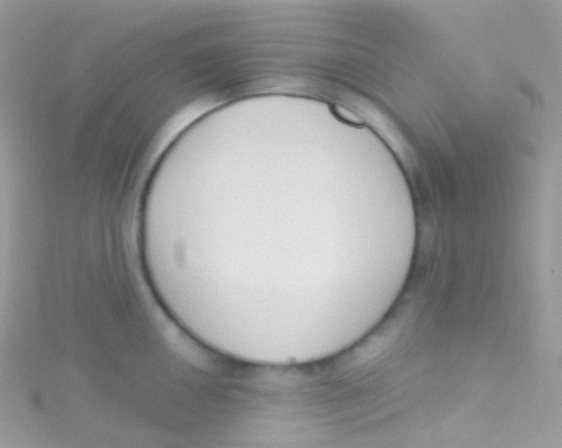 X0000115421050200911241344