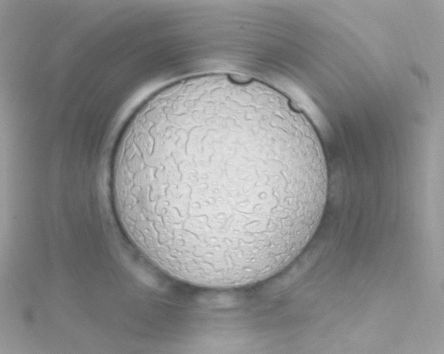 X0000115421051200911241344