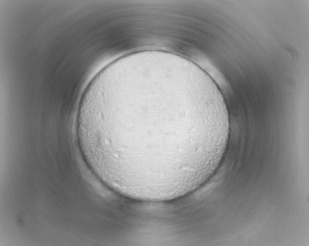 X0000115421052200911241344