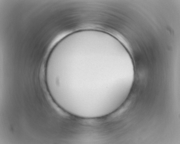 X0000115421053200911241344