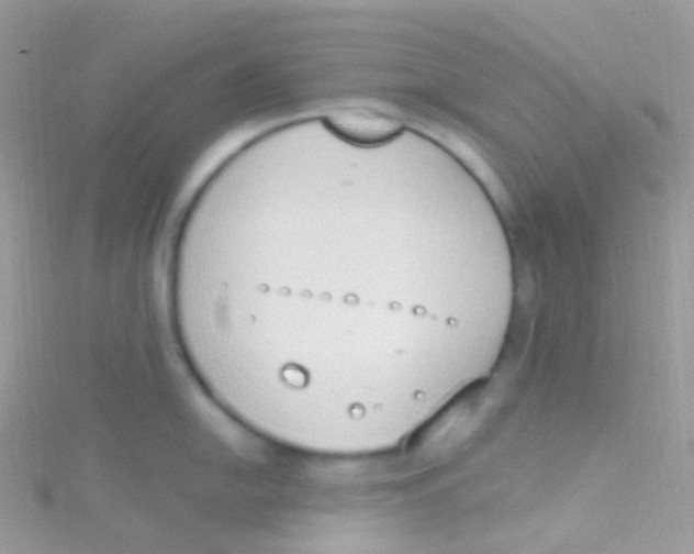 X0000115421054200911241344