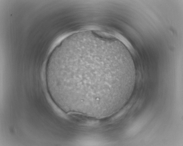 X0000115421055200911241344