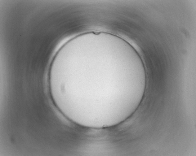 X0000115421056200911241344