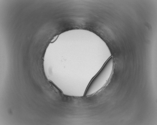 X0000115421057200911241343