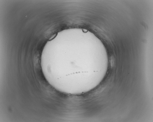 X0000115421059200911241343