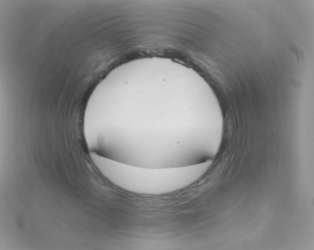 X0000115421060200911241343