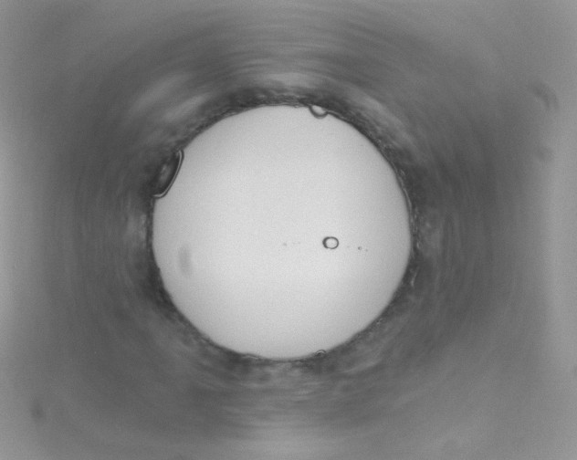 X0000115421061200911241343