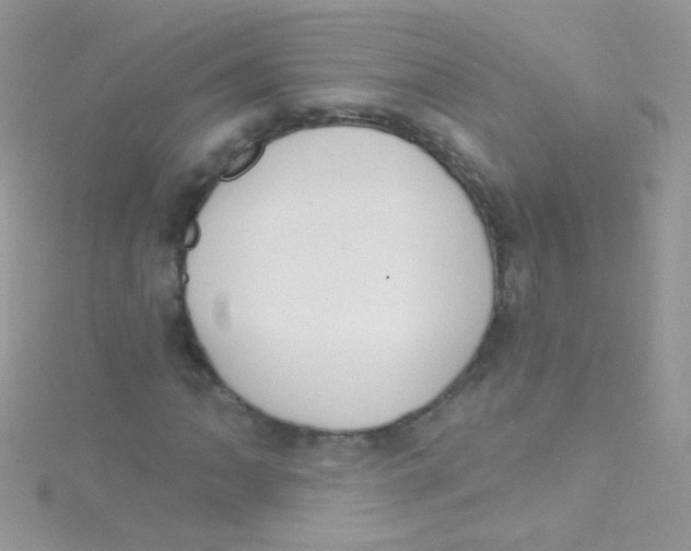 X0000115421062200911241343