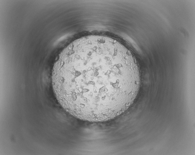 X0000115421063200911241343