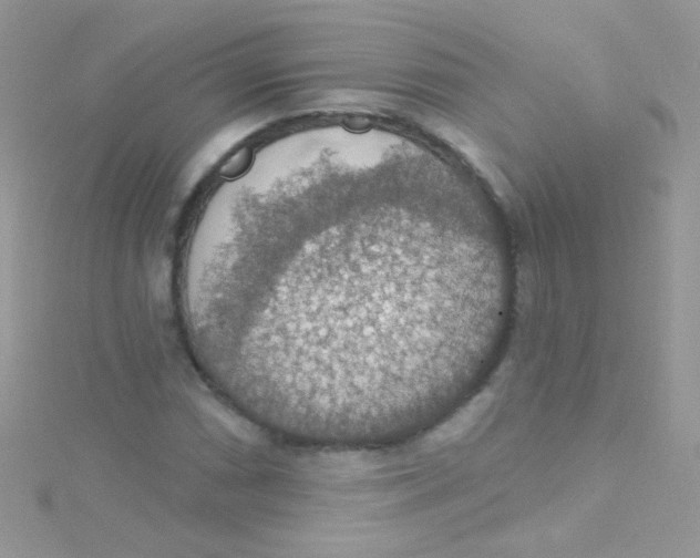 X0000115421066200911241343