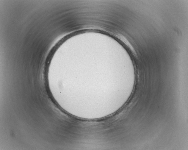 X0000115421068200911241343