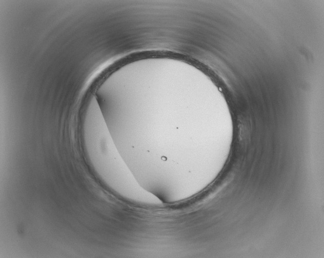 X0000115421069200911241343