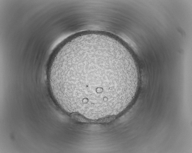 X0000115421070200911241343