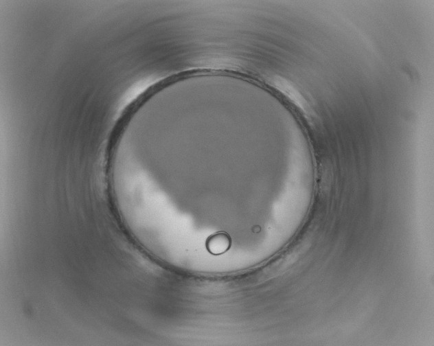 X0000115421071200911241343