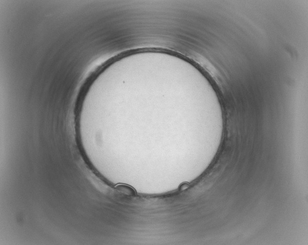 X0000115421072200911241343