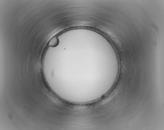 X0000115421073200911241343