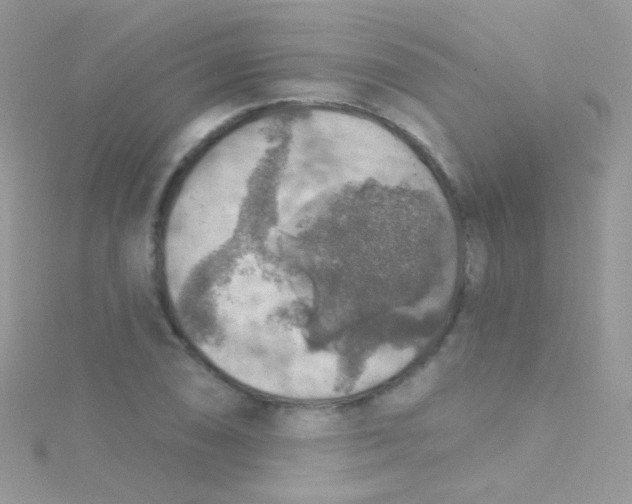 X0000115421074200911241343