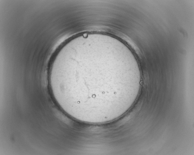 X0000115421075200911241343