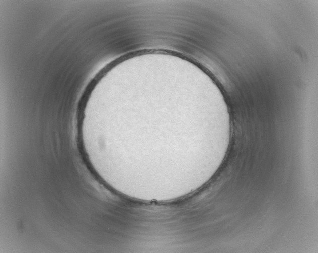 X0000115421076200911241343