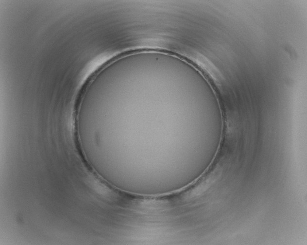 X0000115421077200911241343