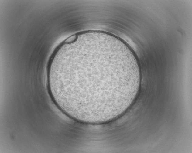 X0000115421080200911241343