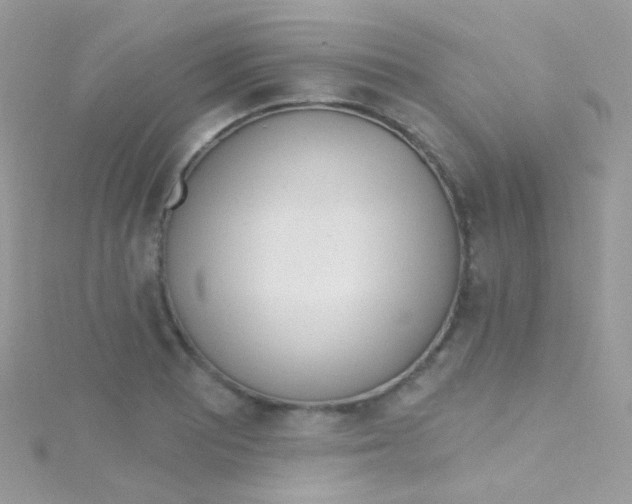 X0000115421081200911241343