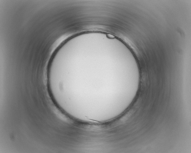 X0000115421082200911241343