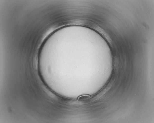 X0000115421083200911241343