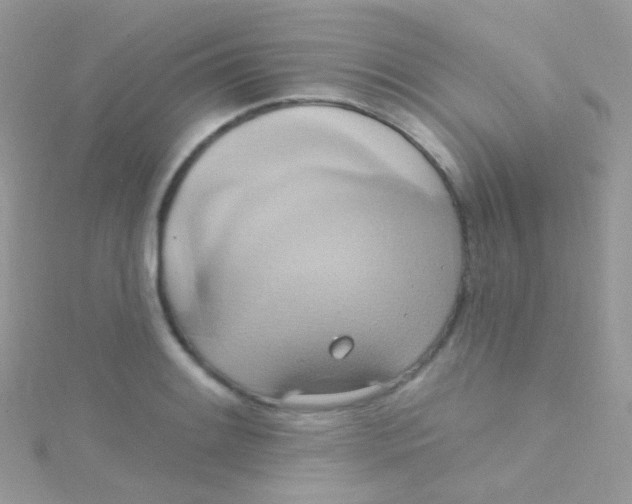 X0000115421084200911241343