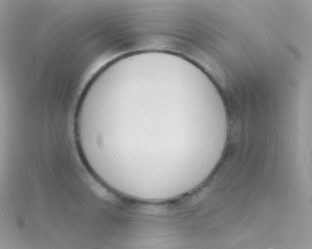 X0000115421086200911241343