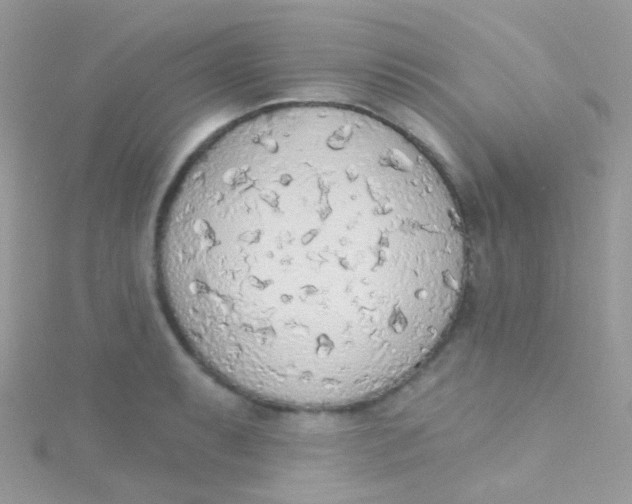 X0000115421087200911241343