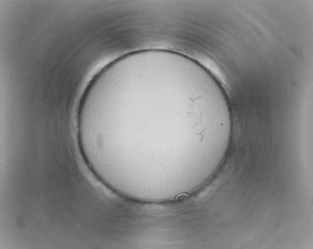 X0000115421088200911241343