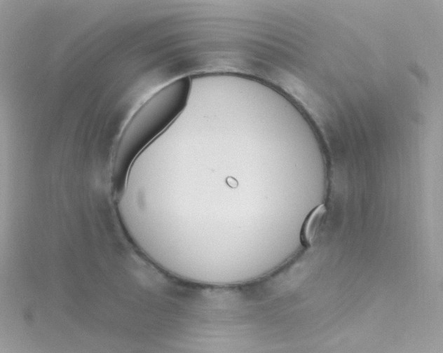 X0000115421089200911241343