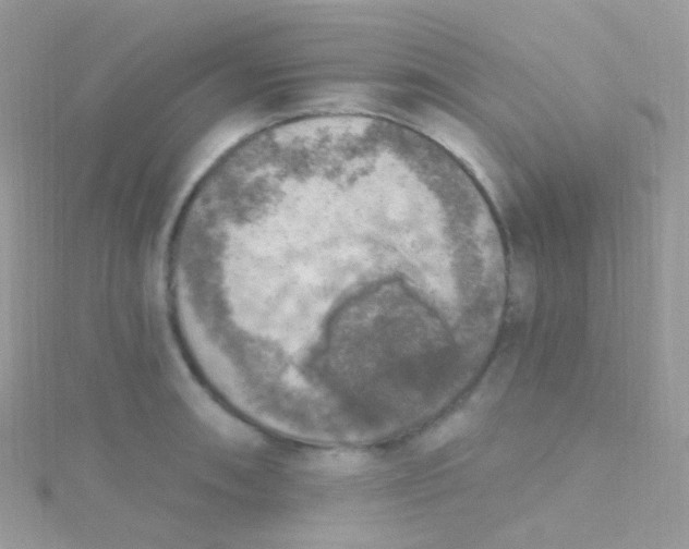 X0000115421090200911241343