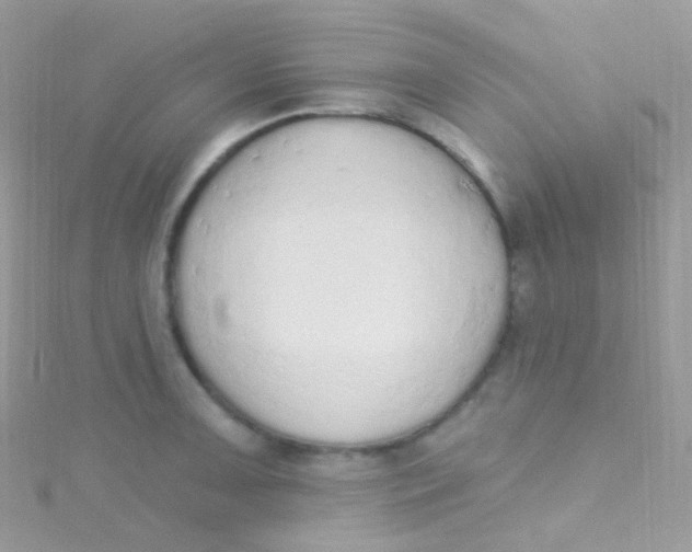 X0000115421091200911241343