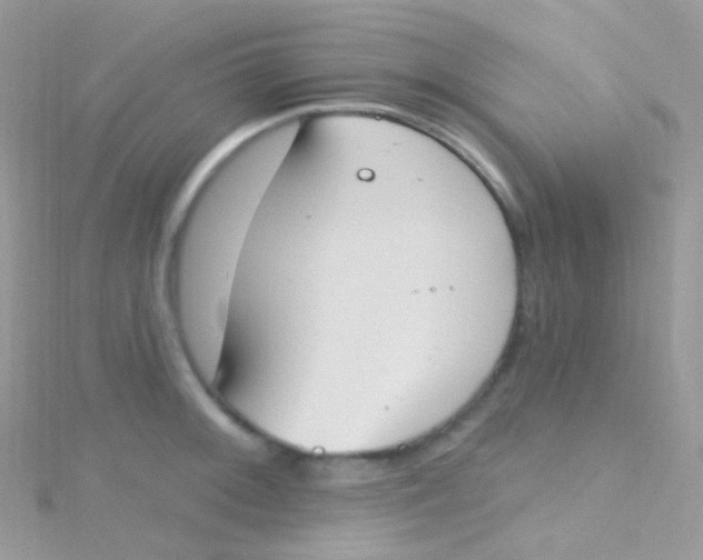 X0000115421092200911241343