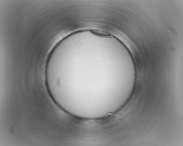 X0000115421093200911241343