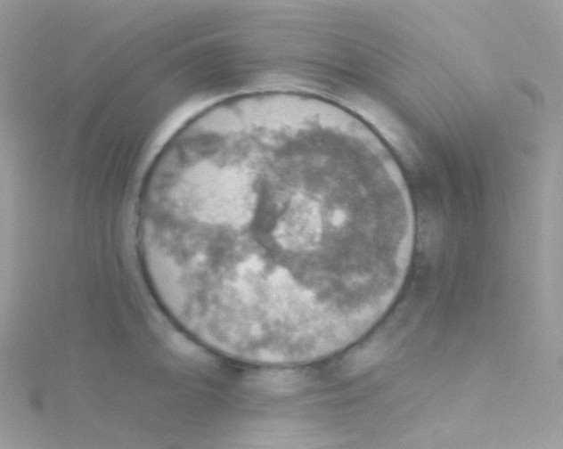 X0000115421094200911241343