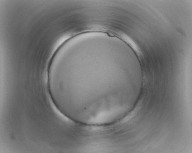 X0000115421095200911241343