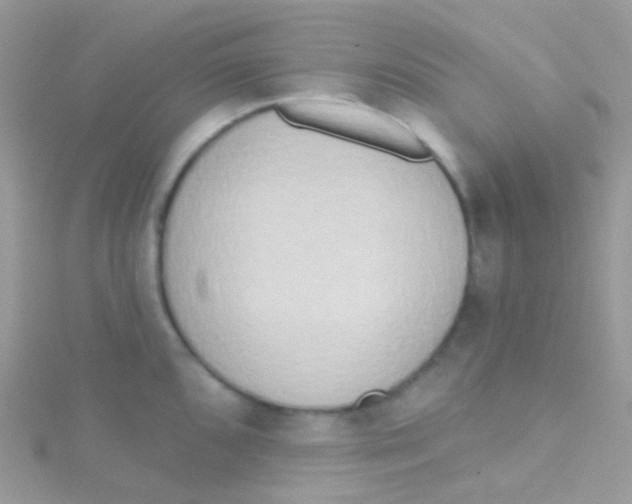 X0000115421096200911241343