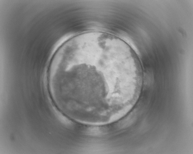 X0000115421098200911241343