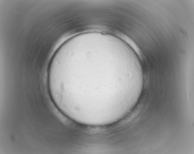 X0000115421099200911241343