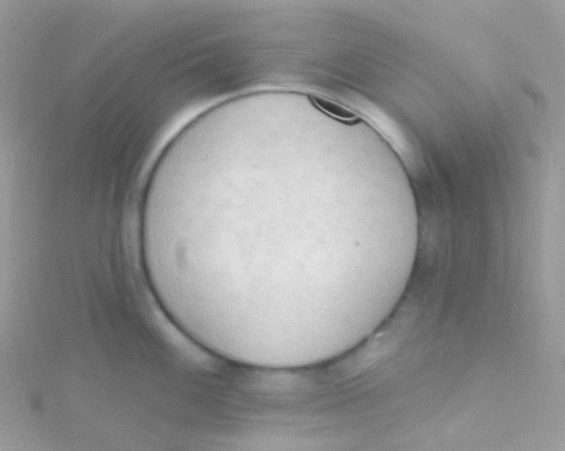 X0000115421100200911241343