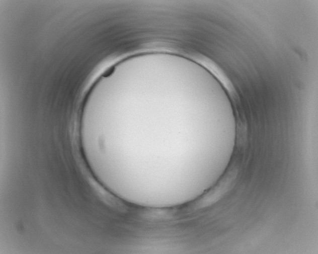 X0000115421101200911241343